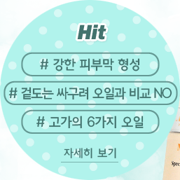 오일